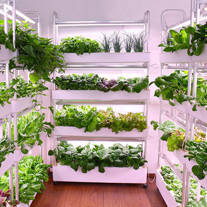 Sistema de cultivo hidropónico - Hydroponic Tower Planter reseña y precio